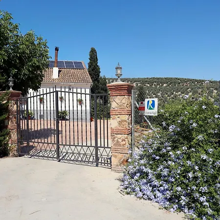 La Luz De