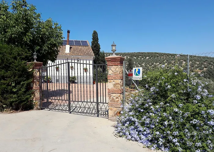La Luz De